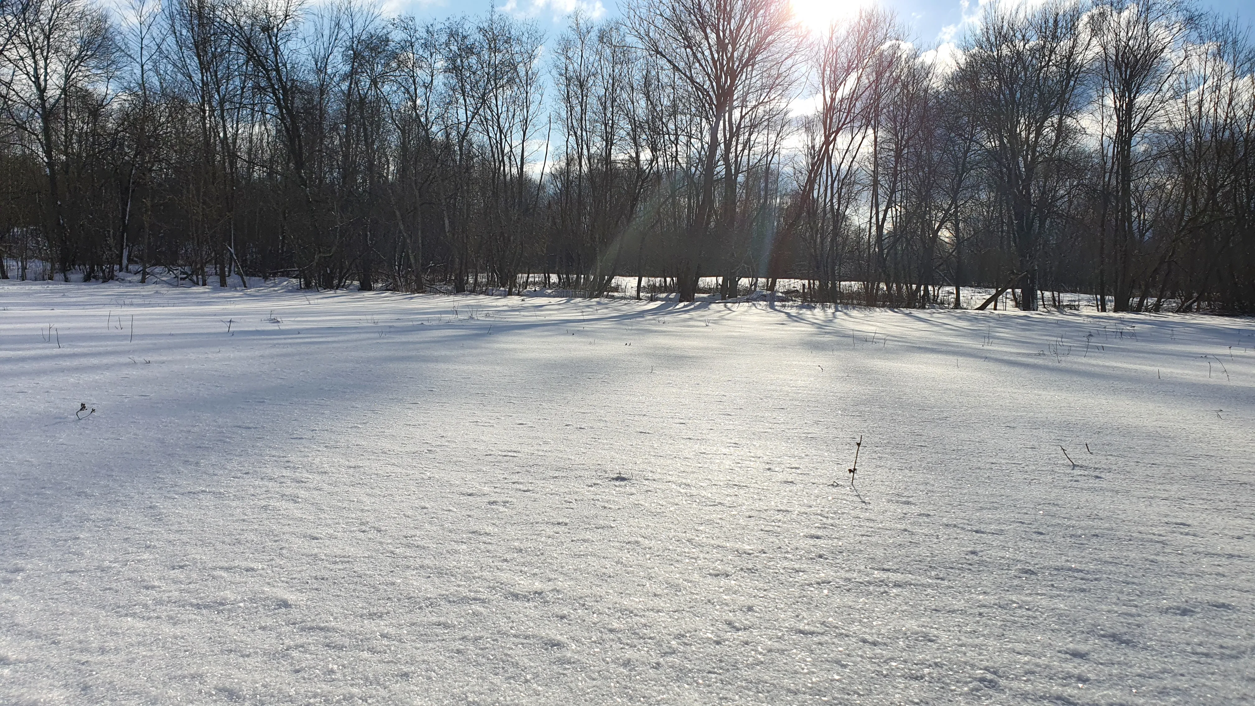Candidate for Winter 1.